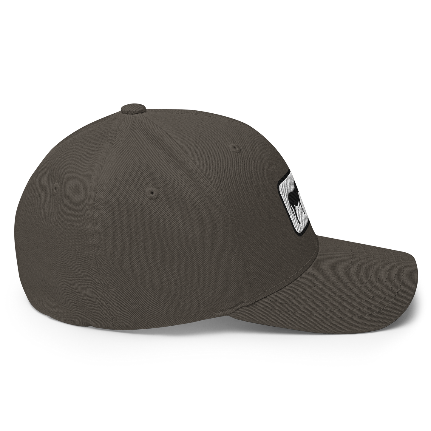 Ass Hat Structured Twill Cap