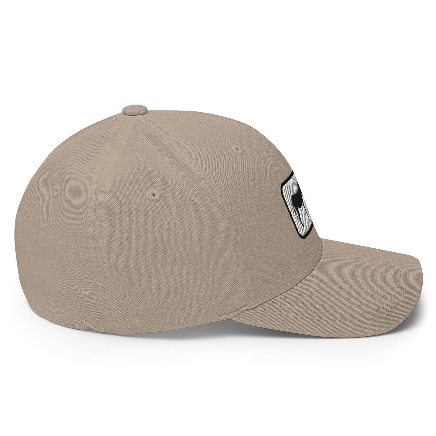 Ass Hat Structured Twill Cap