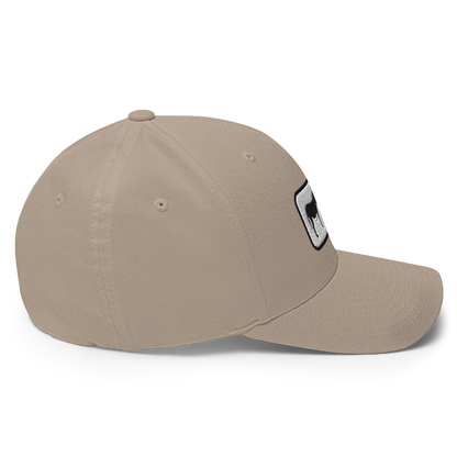 Ass Hat Structured Twill Cap