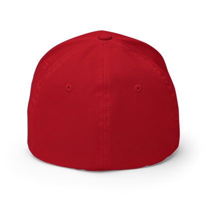 Ass Hat Structured Twill Cap